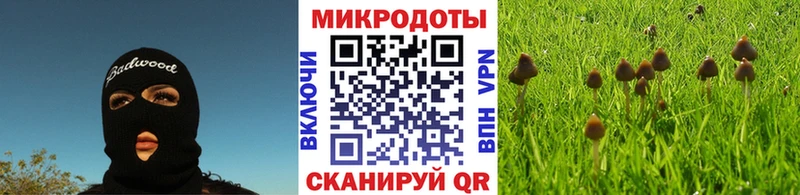 omg вход  Бирюч  Галлюциногенные грибы MAGIC MUSHROOMS 